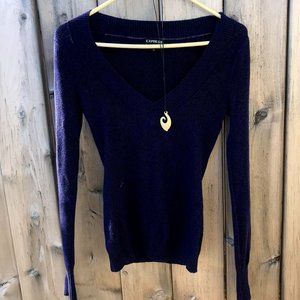 Express Jewel Blue V-Neck fitted sweater